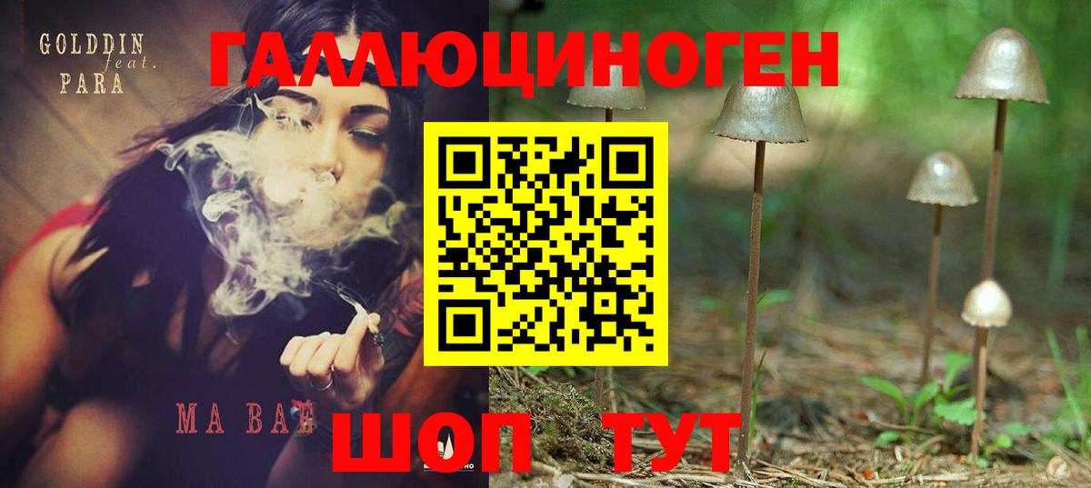 закладки  Псилоцибиновые грибы мицелий  Вход с VPN  Сланцы 