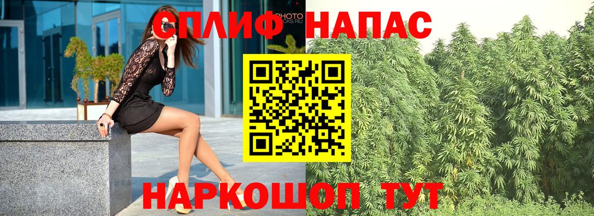 Каннабис гибрид Сланцы